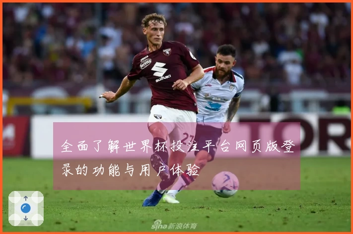 全面了解世界杯投注平台网页版登录的功能与用户体验