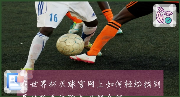 在世界杯买球官网上如何轻松找到最佳观看体验与功能介绍