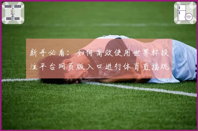 新手必看：如何高效使用世界杯投注平台网页版入口进行体育直播观看