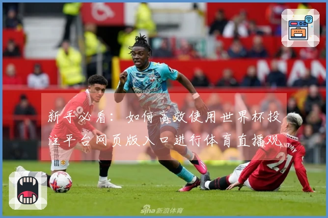 新手必看：如何高效使用世界杯投注平台网页版入口进行体育直播观看